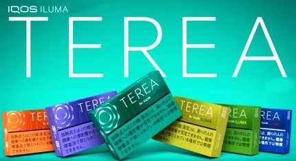 Terea Heets sticks